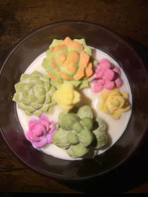 Succulent Candle - Large